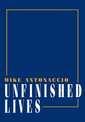 bigCover of the book Unfinished Lives by 