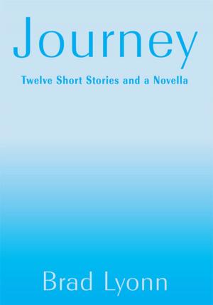 Book cover of Journey
