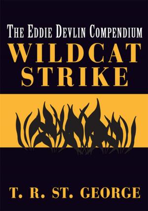 bigCover of the book Wildcat Strike by 