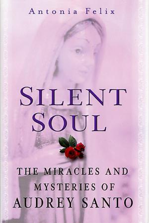 Cover of the book Silent Soul by Phoebe Maltz Bovy