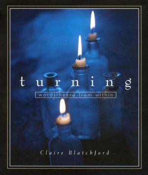 Cover of the book Turning by Paul Allen, Joan deRis Allen