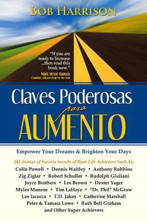 Cover of Claves Poderosas para Aumiento