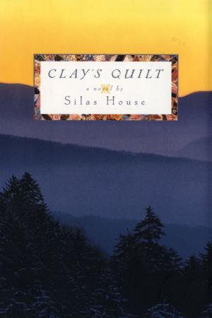 Cover of the book Clay's Quilt by Clyde Edgerton