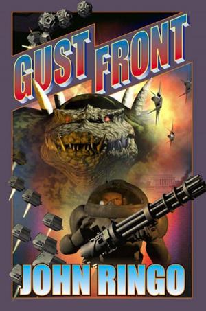 Cover of the book Gust Front by Ashley R Scott