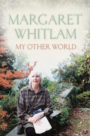 Cover of the book My Other World by Lisa Shanahan