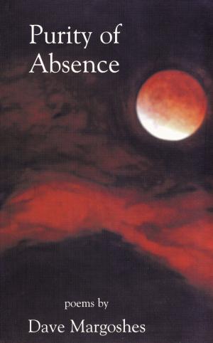Cover of the book Purity of Absence by Britta Das