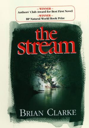 Cover of the book The Stream by GILLIAN HIGGINS