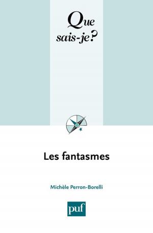 Cover of the book Les fantasmes by Ruth Menahem