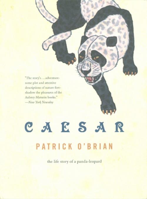 Cover of the book Caesar: The Life Story of a Panda-Leopard by Patrick O'Brian, W. W. Norton & Company