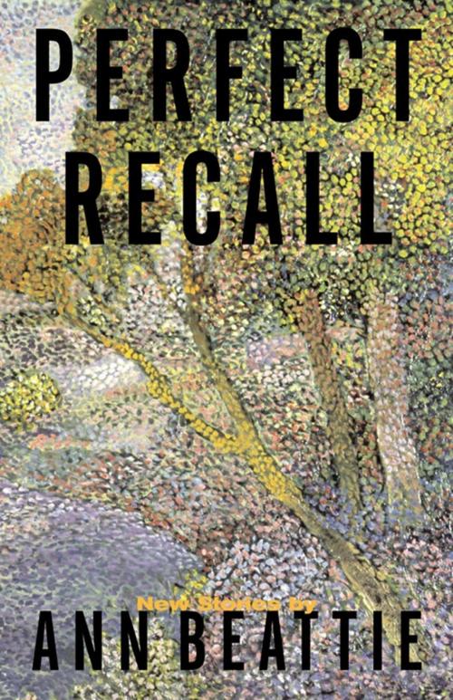 Cover of the book Perfect Recall by Ann Beattie, Scribner