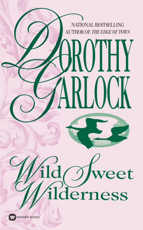 Cover of the book Wild Sweet Wilderness by Dorothy Garlock, Grand Central Publishing