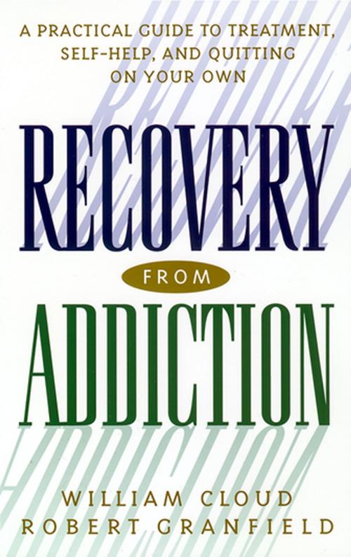 Cover of the book Recovery from Addiction by William Cloud, Robert Granfield, NYU Press