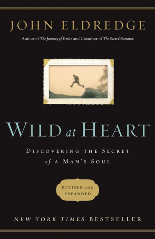 Cover of the book Wild at Heart by John Eldredge, Thomas Nelson