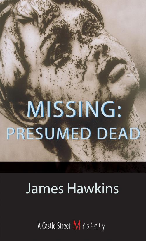 Cover of the book Missing: Presumed Dead by James Hawkins, Dundurn