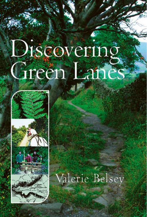 Cover of the book Discovering Green Lanes by Valerie Belsey, UIT Cambridge Ltd.