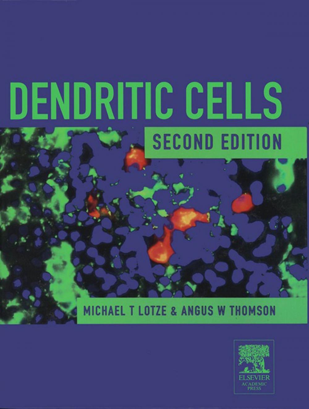 Big bigCover of Dendritic Cells