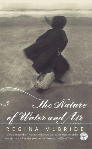 Cover of the book The Nature of Water and Air by Gail McHugh