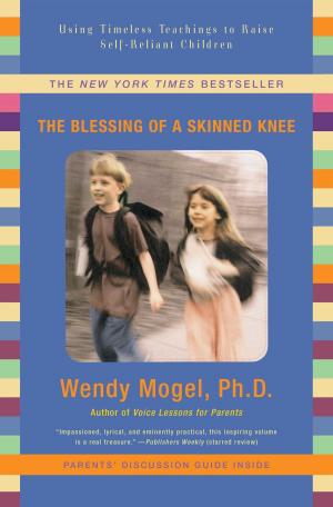 Cover of the book The Blessing of a Skinned Knee by Stephen King