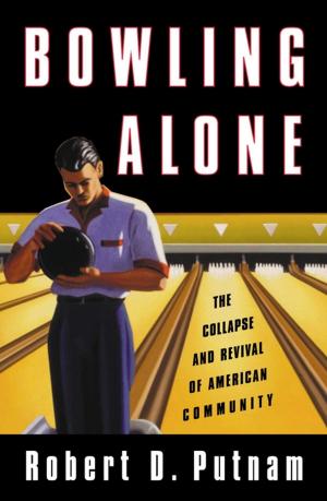 Book cover of Bowling Alone