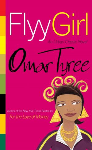 Cover of the book Flyy Girl by RM Johnson