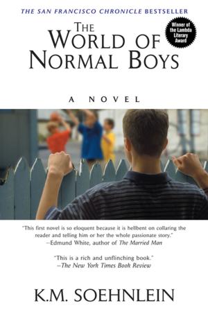 Cover of the book The World of Normal Boys by Sara Rosett