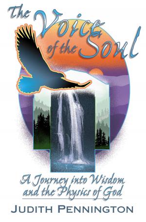 Cover of the book The Voice of the Soul by Rev. Karen E. Herrick Ph.D.