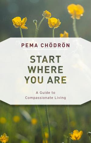 Cover of the book Start Where You Are by Roshi Pat Enkyo O'Hara
