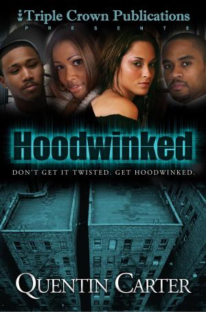 Cover of the book Hoodwinked by T.N. Baker