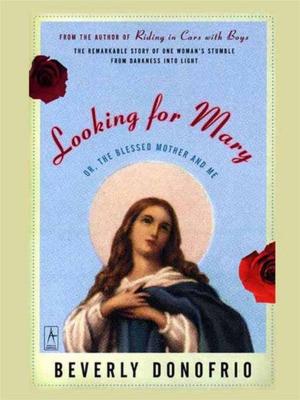 Cover of the book Looking for Mary by Mark Greaney