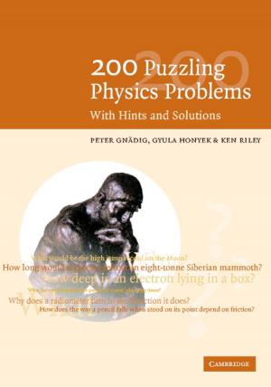 Cover of the book 200 Puzzling Physics Problems by Marek Capiński, Ekkehard Kopp, Janusz Traple
