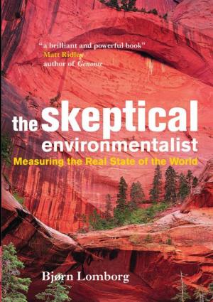 Book cover of The Skeptical Environmentalist