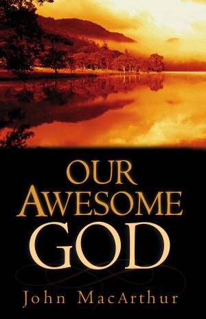 Cover of the book Our Awesome God by Sam Storms