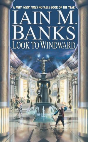 bigCover of the book Look to Windward by 