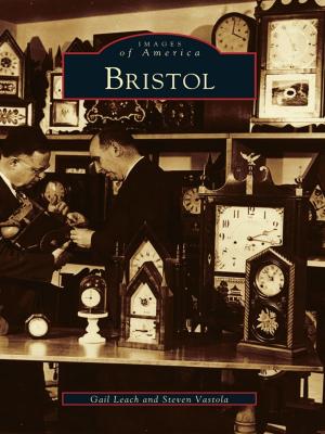 Cover of the book Bristol by Chris Kidder, Outer Banks History Center Associates