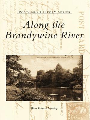 bigCover of the book Along the Brandywine River by 