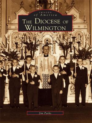 Cover of the book The Diocese of Wilmington by Robert W. Schramm