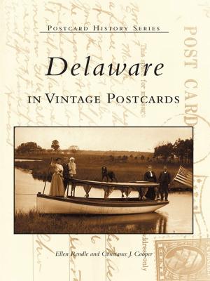 Book cover of Delaware in Vintage Postcards