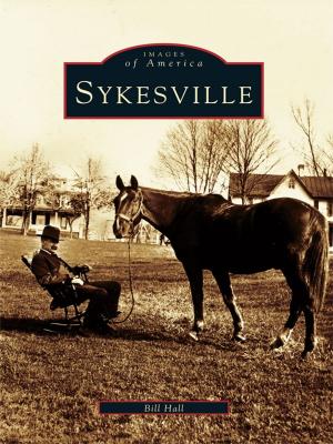 Cover of the book Sykesville by Jill A. Grunenwald