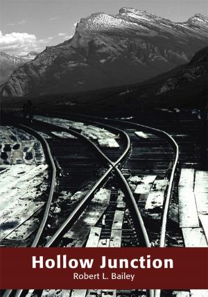Cover of the book Hollow Junction by Robert Vanderzee