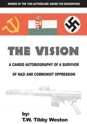 Cover of the book The Vision by Talitha C. Davis