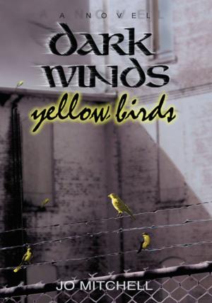 Cover of the book Dark Winds/Yellow Birds by Jeff Kaye