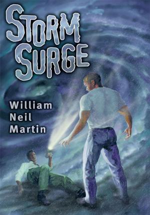 Cover of the book Storm Surge by Amethyst E. Manual