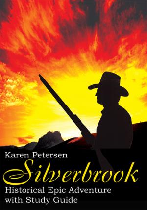 Book cover of Silverbrook
