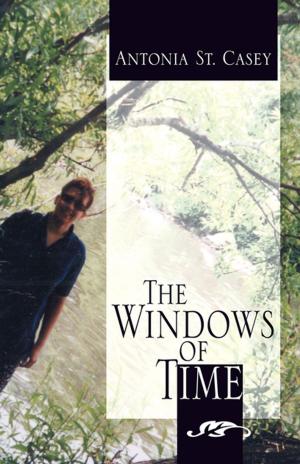 Cover of the book The Windows of Time by Mayumi Yamada-Shimotai