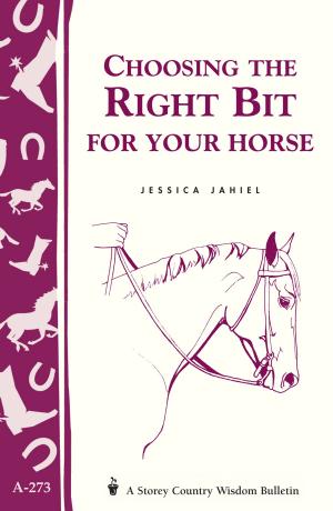 Cover of the book Choosing the Right Bit for Your Horse by Lauren Chattman