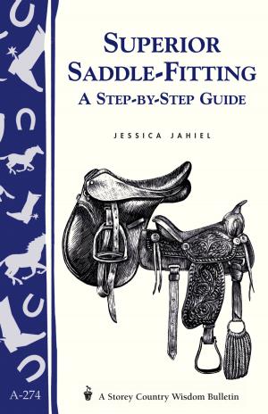 Cover of the book Superior Saddle Fitting: A Step-by-Step Guide by Megan Giller