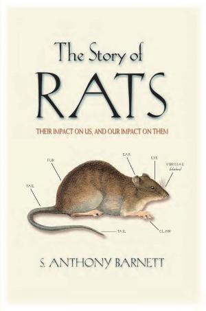 Cover of the book The Story of Rats by CM Lance