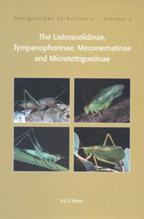 Cover of the book Tettigoniidae of Australia Volume 3 by David Rentz, CSIRO PUBLISHING