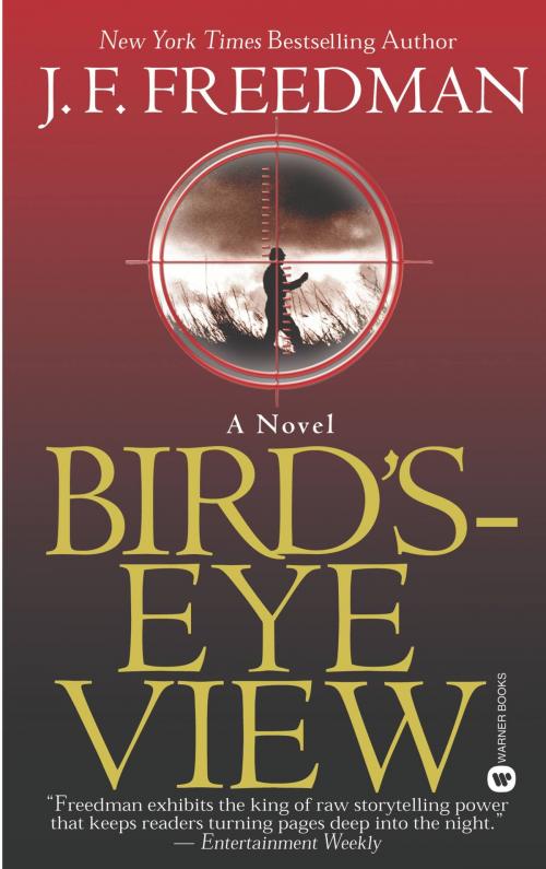 Cover of the book Bird's-Eye View by J. F. Freedman, Grand Central Publishing