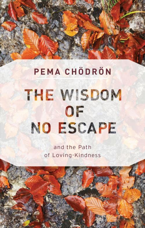 Cover of the book The Wisdom of No Escape by Pema Chodron, Shambhala